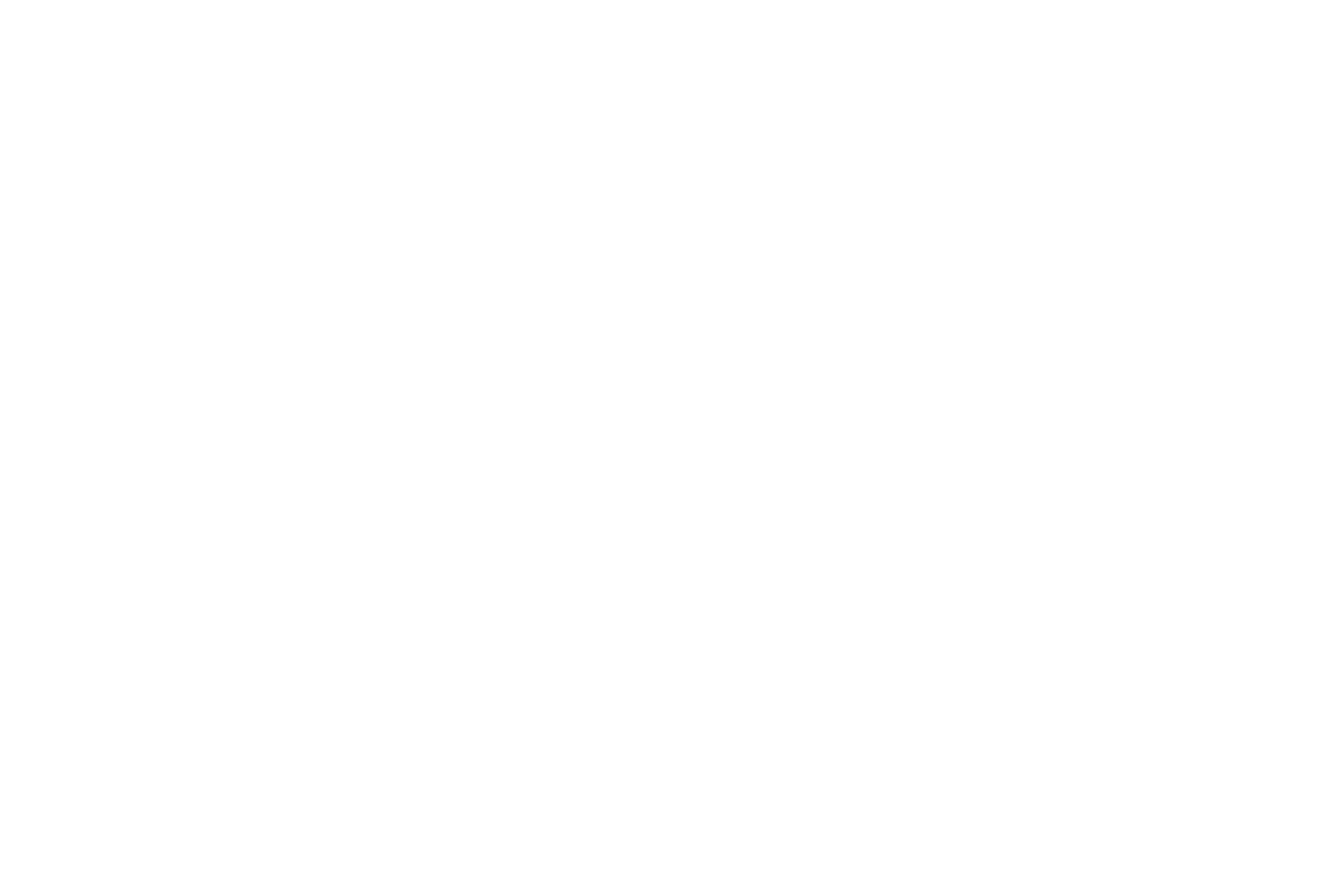Nice Light Logo